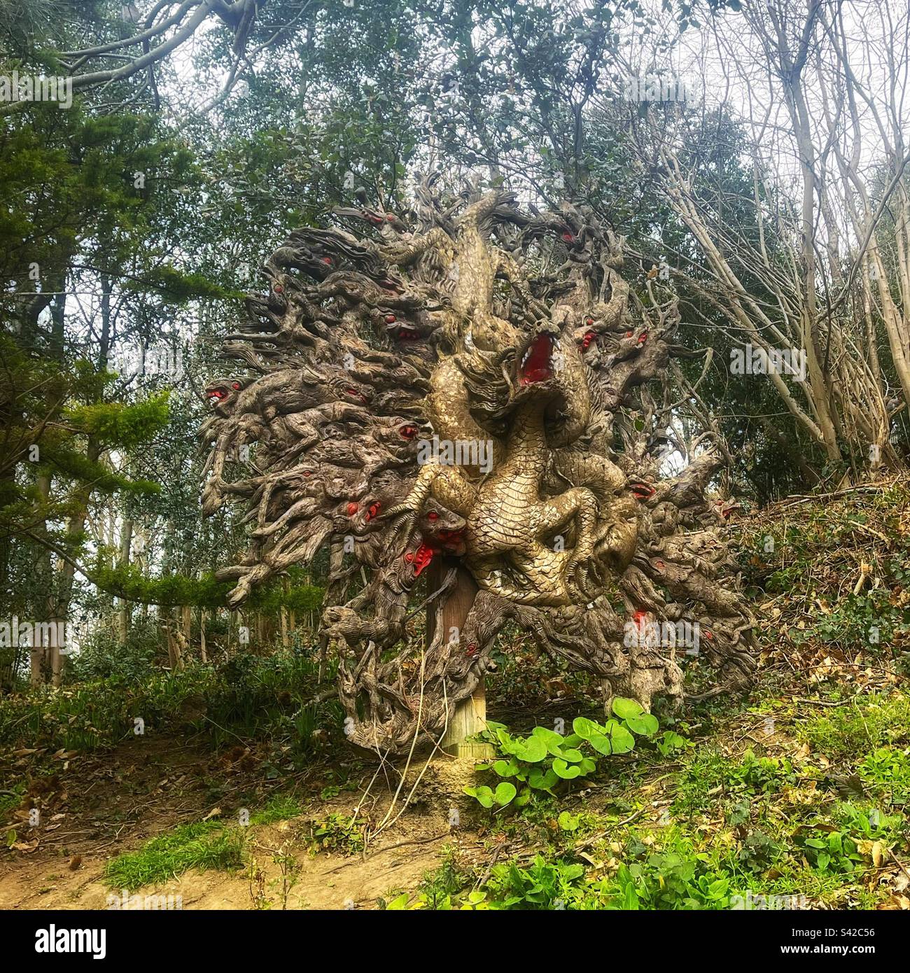 Sculptural carving of a dragon in Enbrook Park, Sandgate, Kent. Woodland park. - Smartphone Captured Stock Image