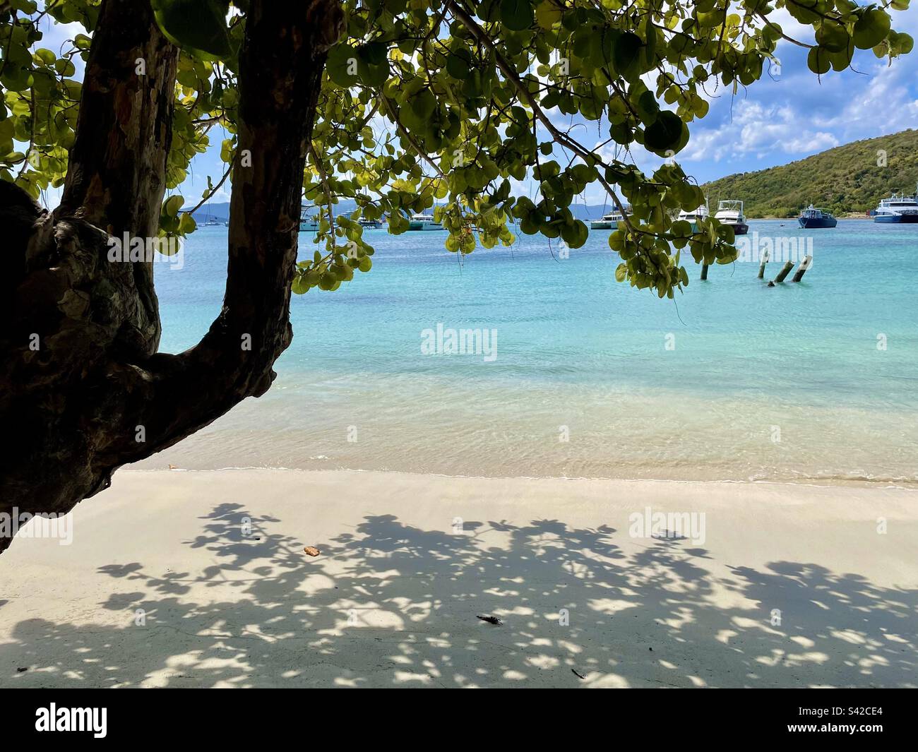 Caribbean sand beach hi-res stock photography and images - Alamy
