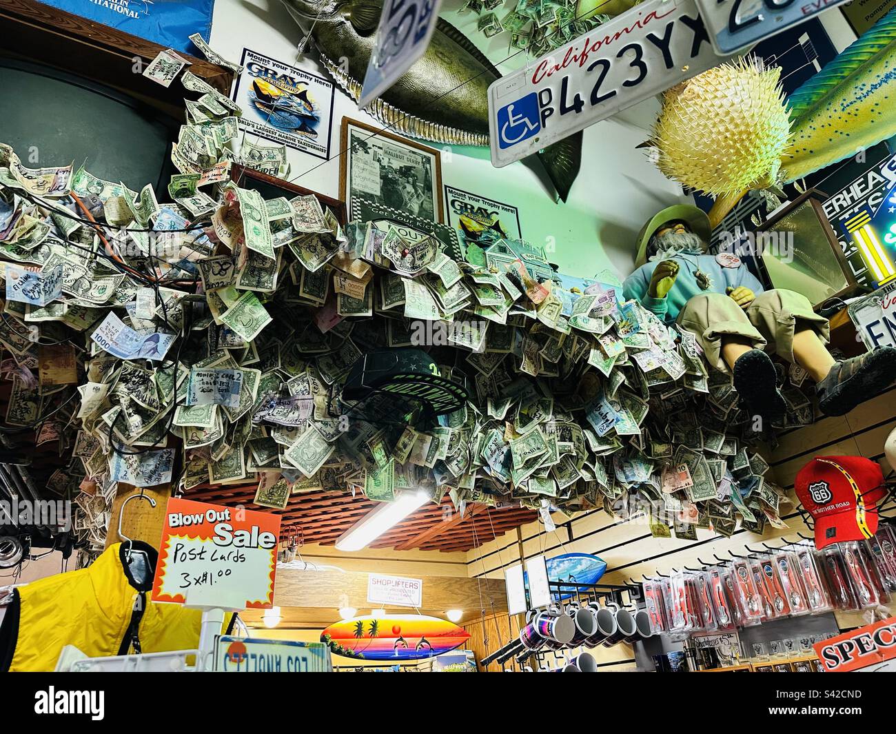 Hanging money Stock Photo