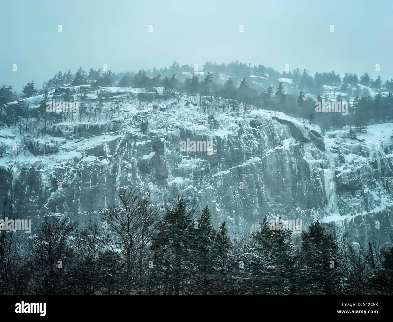 Adirondack park snowy mountain and evergreen trees - Smartphone Captured Stock Image