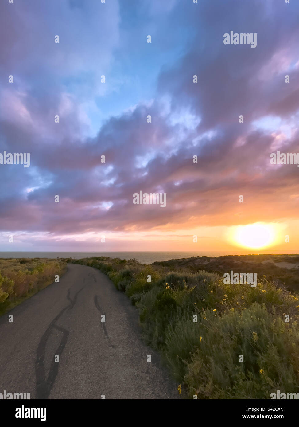 Sunset over the Pacific Ocean from a paved walkway at Crystal Cove State Park in California. - Smartphone Captured Stock Image