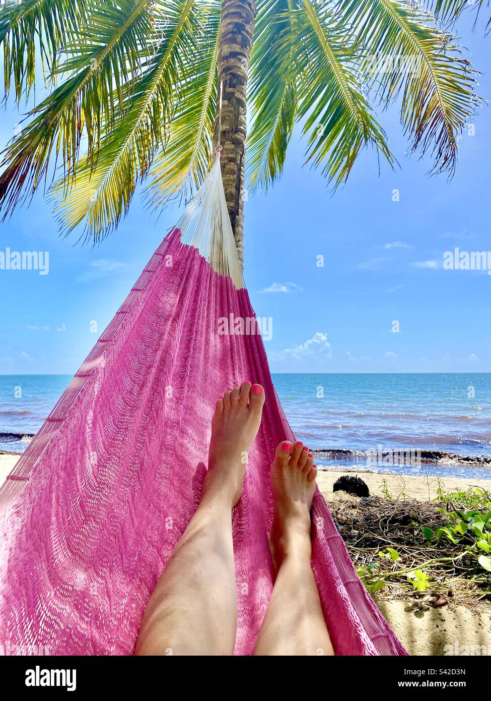 Hammock view at a beach in Hopkins, Belize Stock Photo