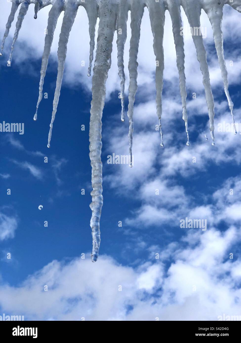Melting icicles against the blue sky - Smartphone Captured Stock Image