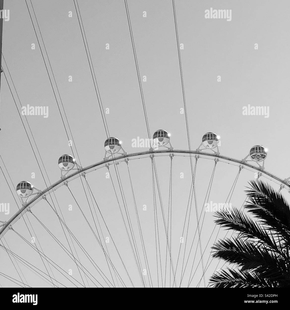 Ferris wheel black-and-white with the palm tree - Smartphone Captured Stock Image