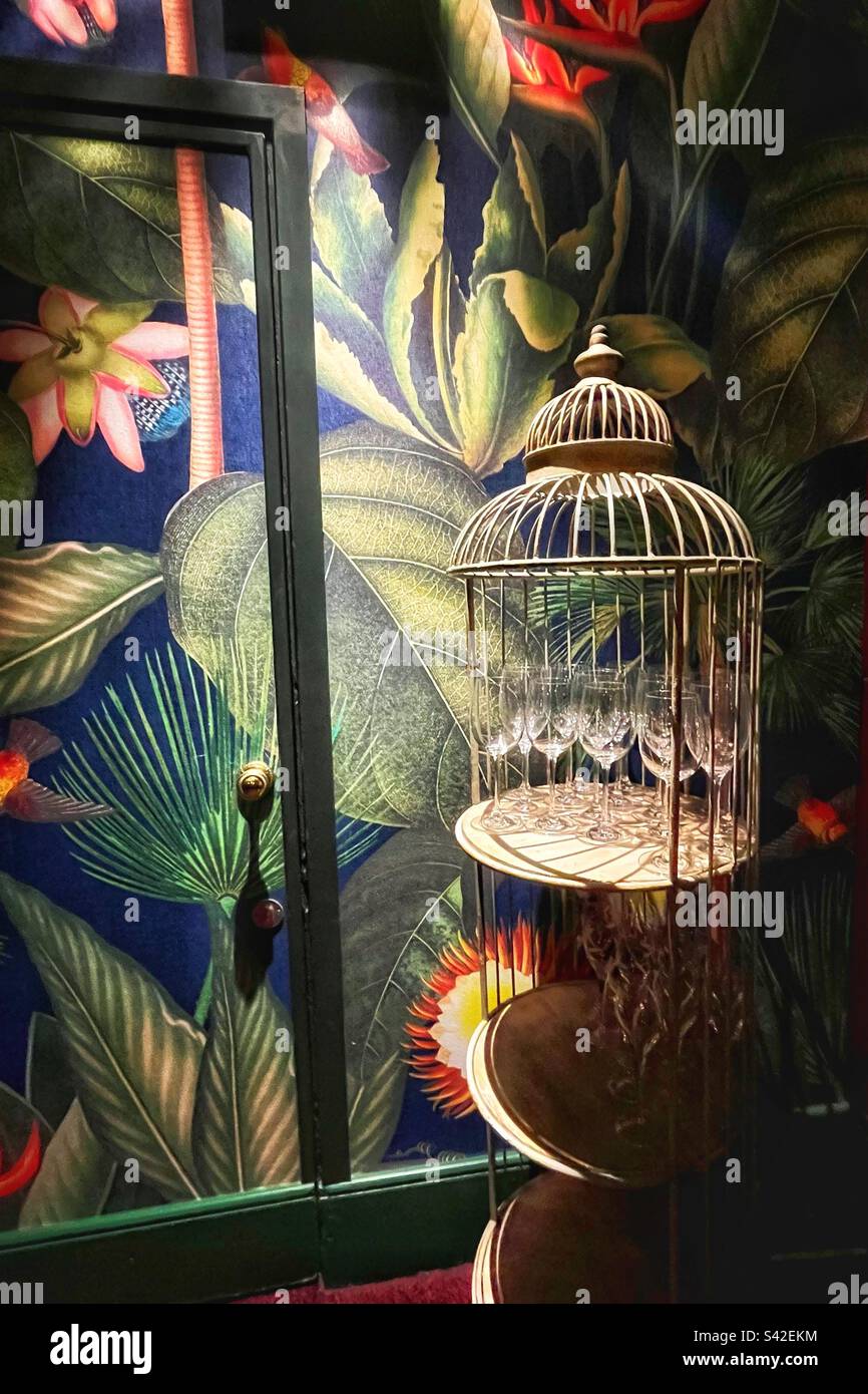 Glasses in a bird cage against tropical botanical garden wallpaper Kensington Gardens Bar in the Royal Albert Hall - Smartphone Captured Stock Image