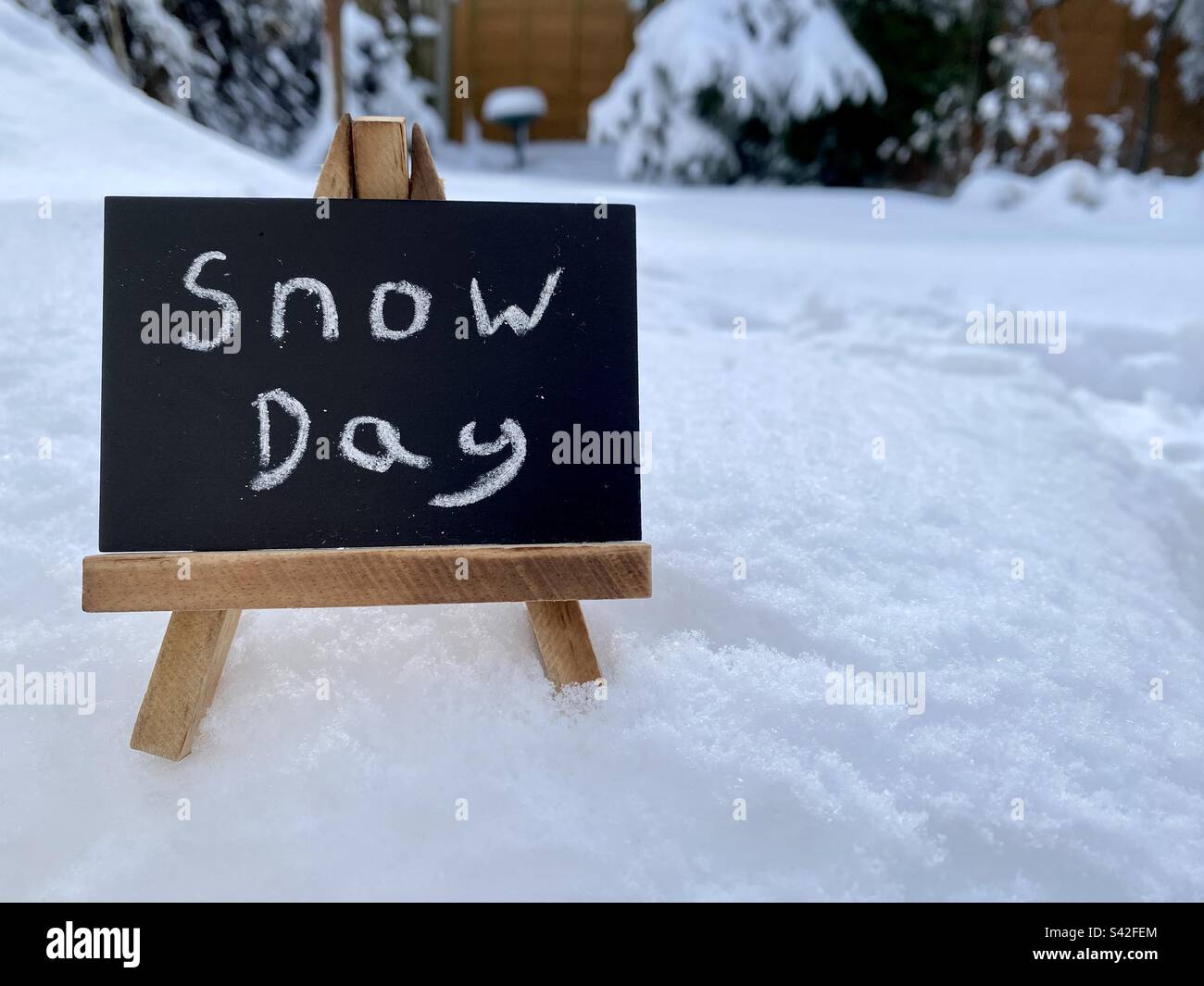 Chalk board in the snow with the words snow day - Smartphone Captured Stock Image