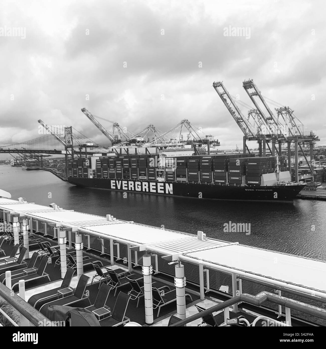 November, 2022, Evergreen container ship viewed from a cruise ship, San Pedro, Los Angeles, California, United States - Smartphone Captured Stock Image
