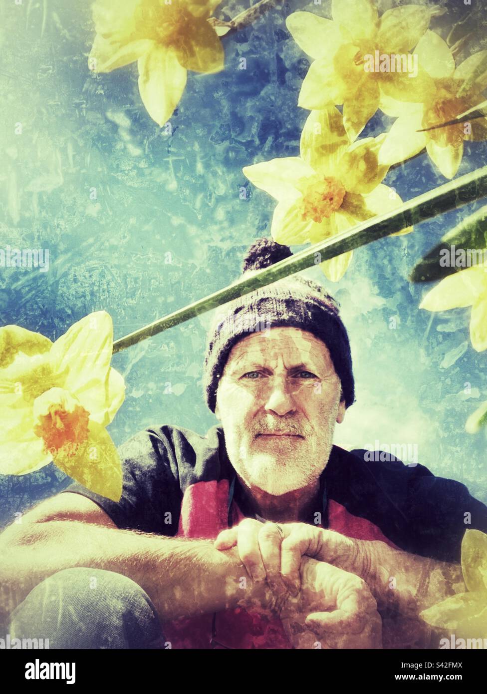 Daffodil Man 2 Stock Photo Alamy