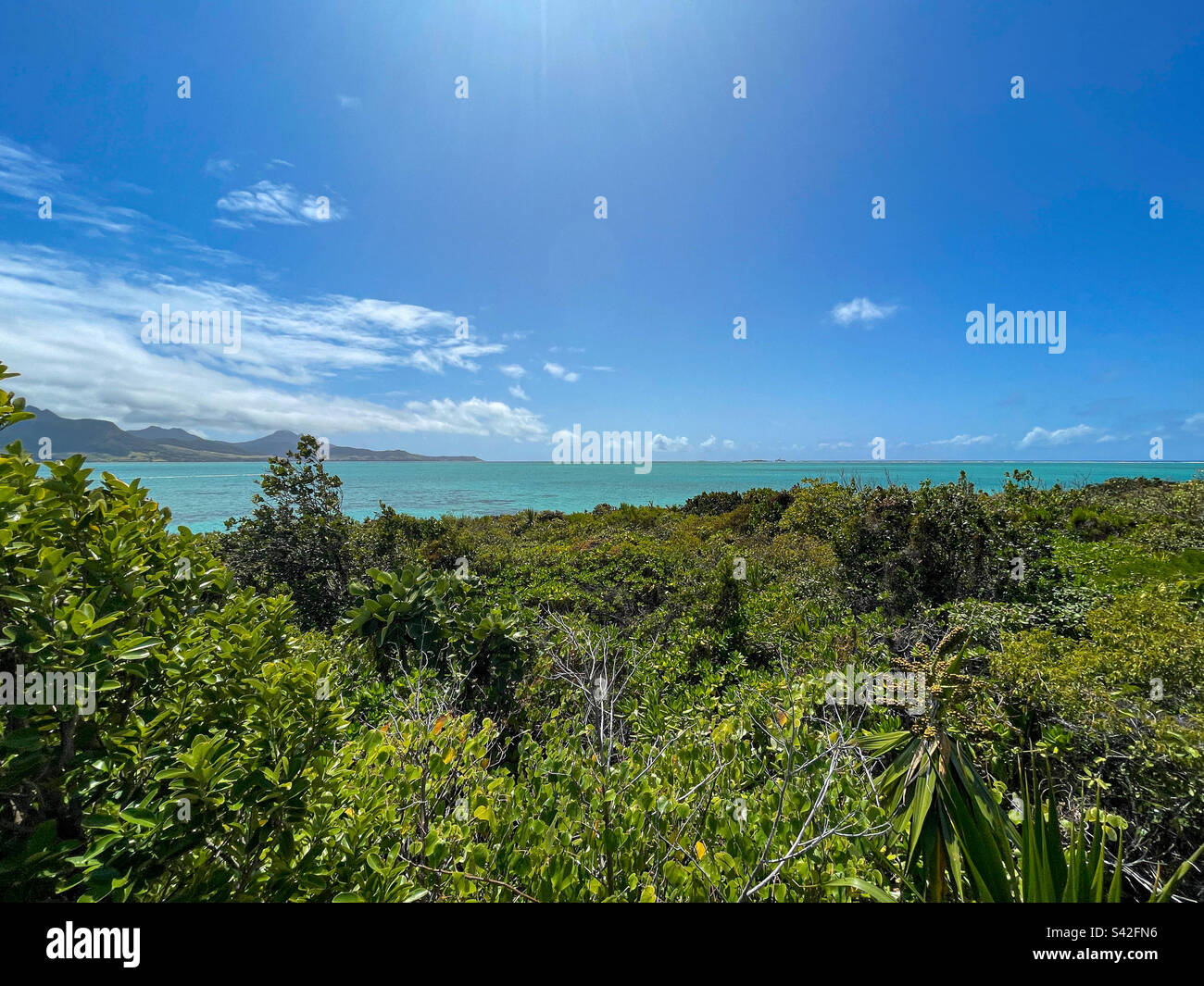 Turquoise Indian Ocean water, blue skies and lush vegetation of Mauritius - Smartphone Captured Stock Image