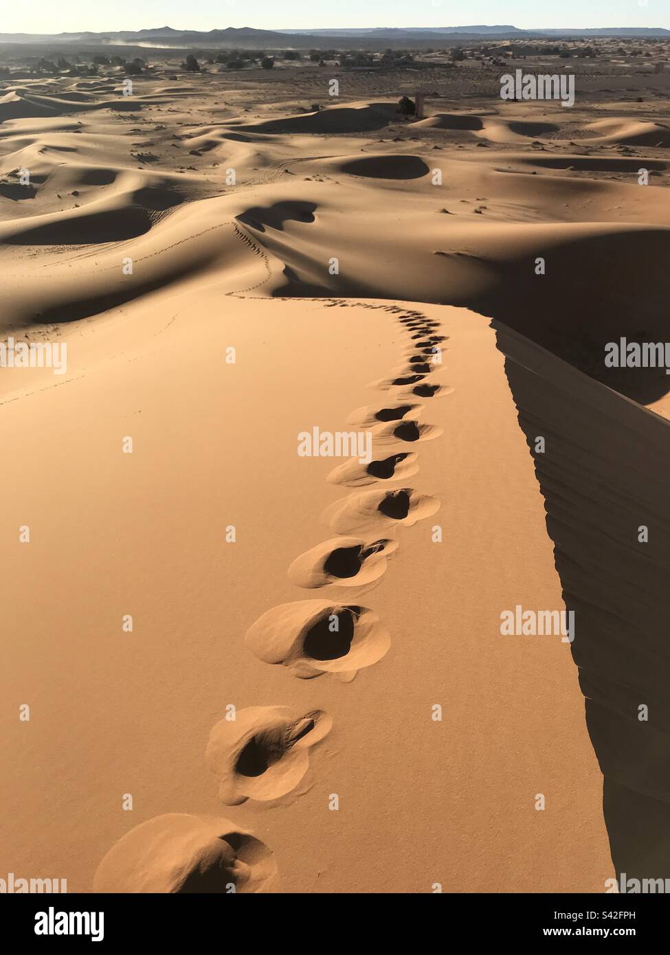 Footprints in the desert Stock Photo Alamy