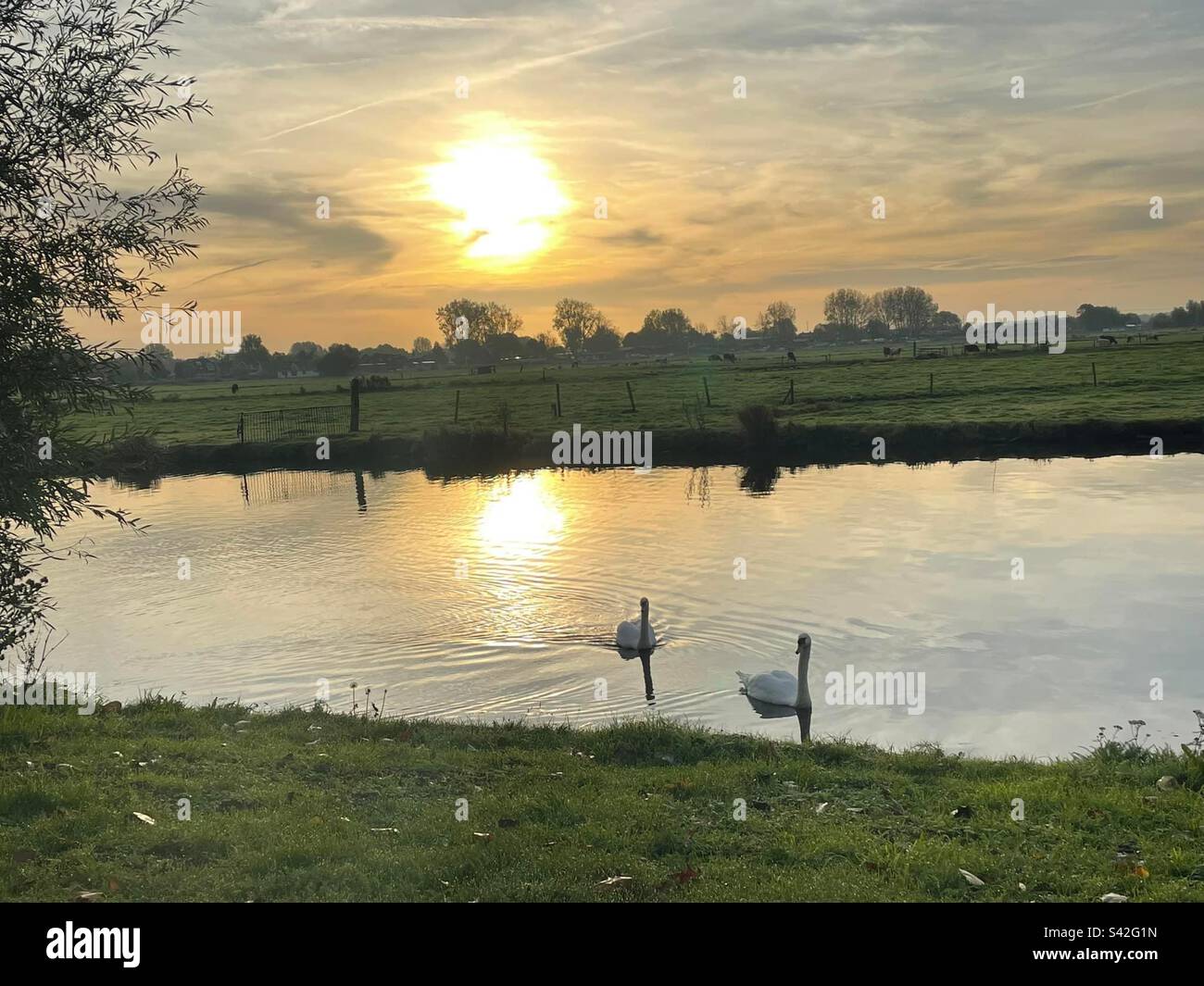 Sun in the morning Stock Photo Alamy