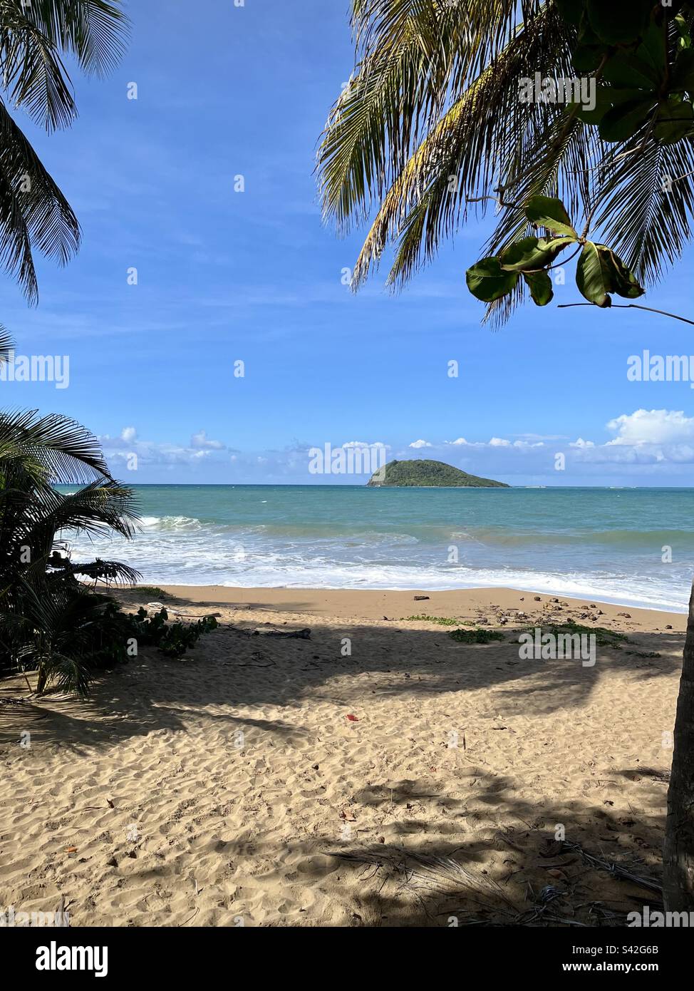 View of a small beach in the Caribbean. Photo taken in Guadeloupe in