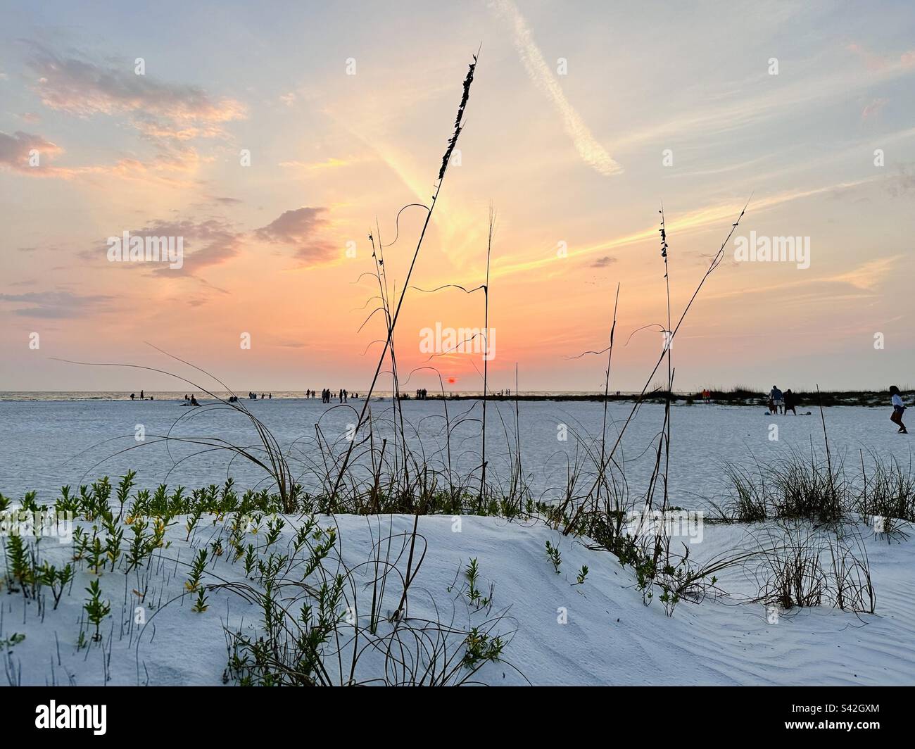 Sunset on beach - Smartphone Captured Stock Image