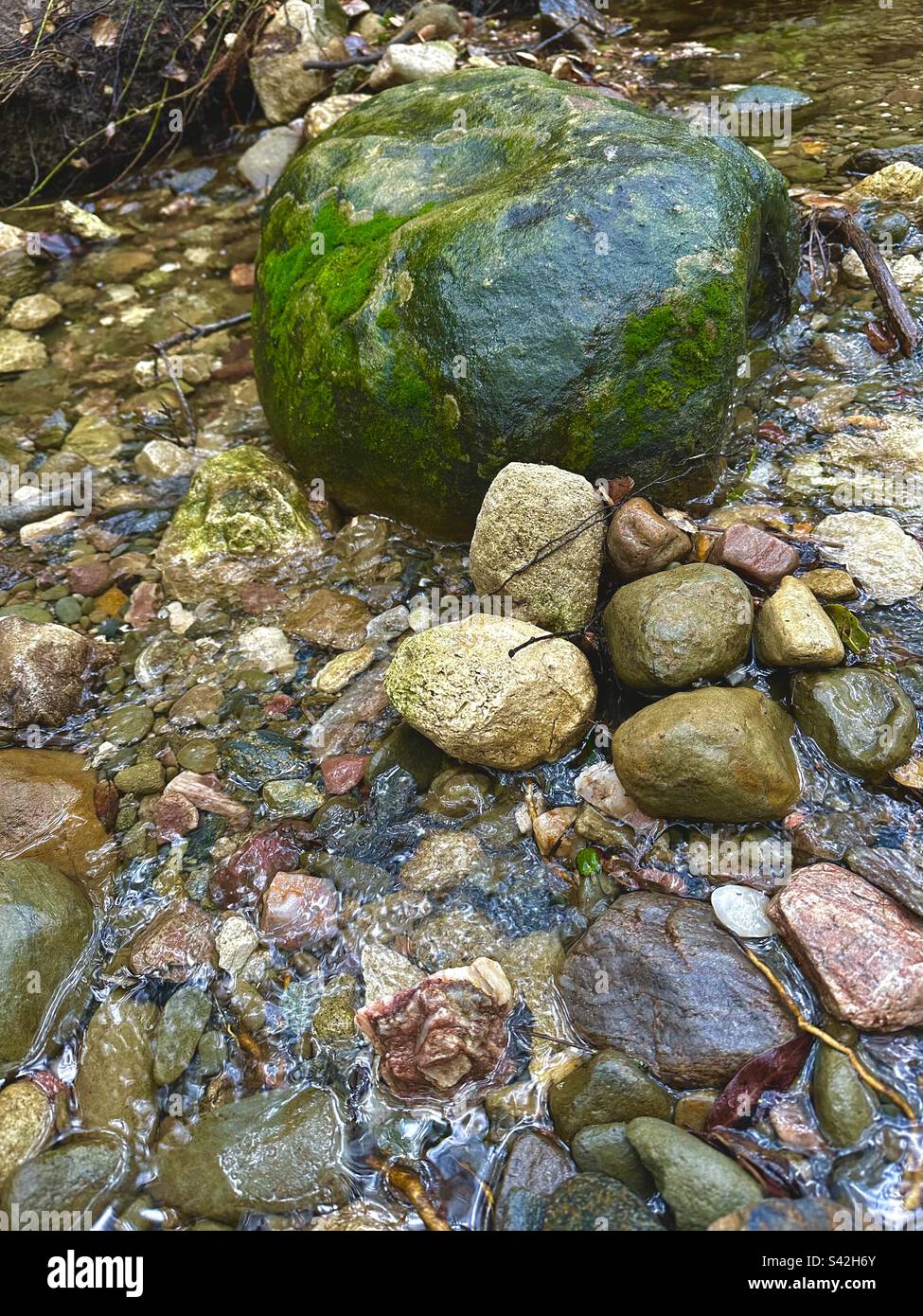 Mossy stone in creek hires stock photography and images Alamy