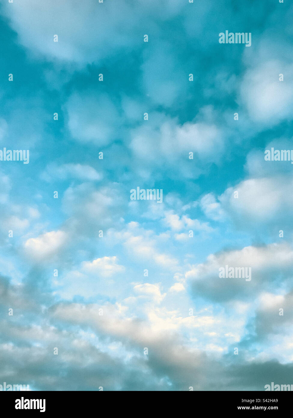 Blue sky with white clouds. - Smartphone Captured Stock Image