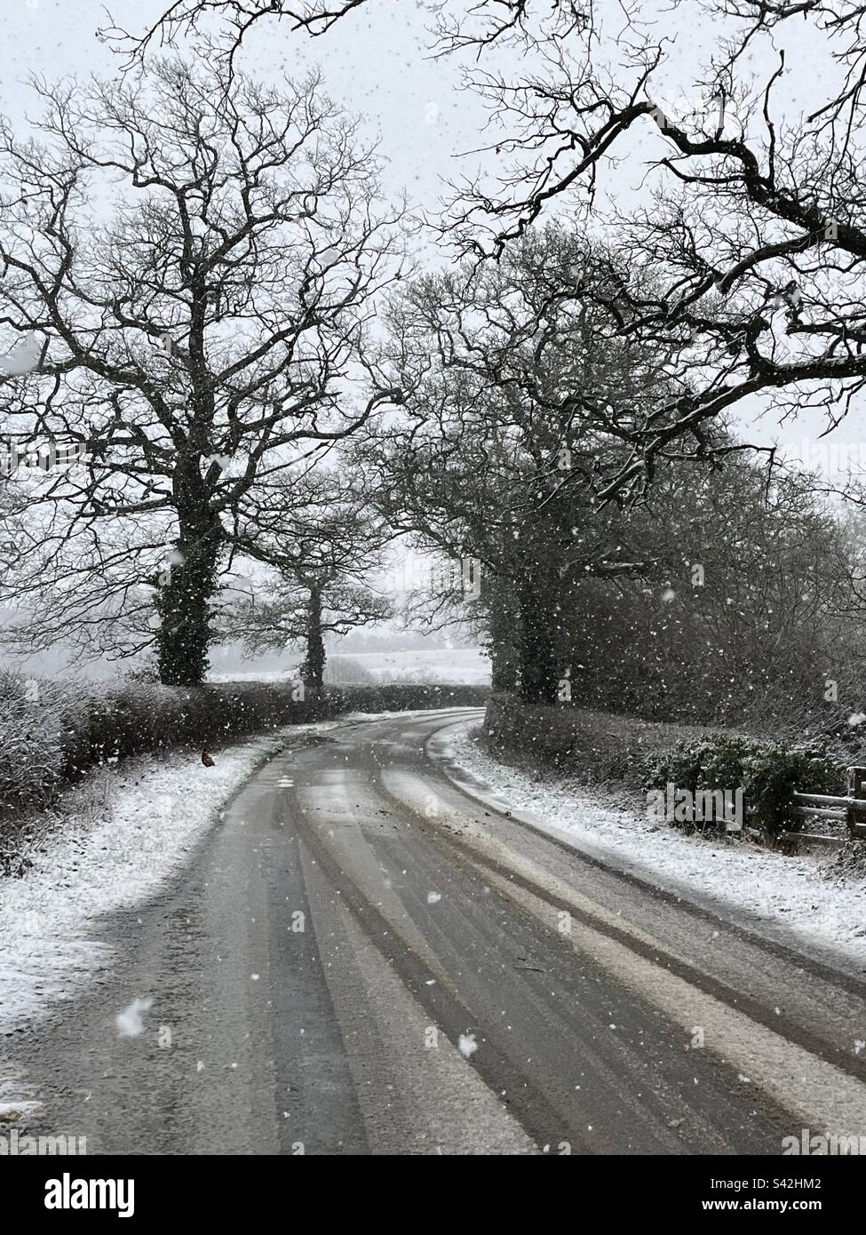 Snowing falling on country roads in Warwickshire on Friday 10th March 2023 - Smartphone Captured Stock Image