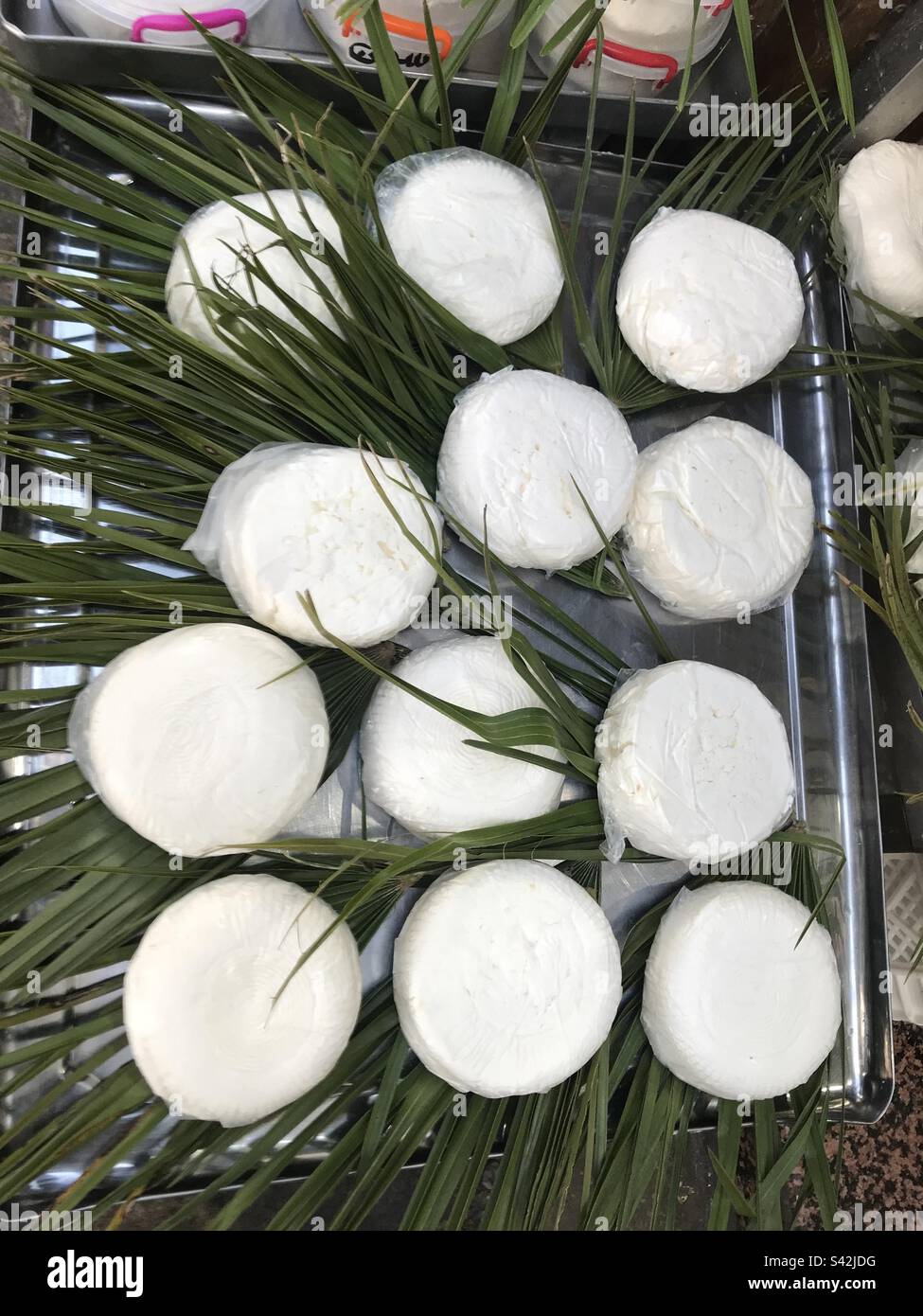 Goats cheese Stock Photo
