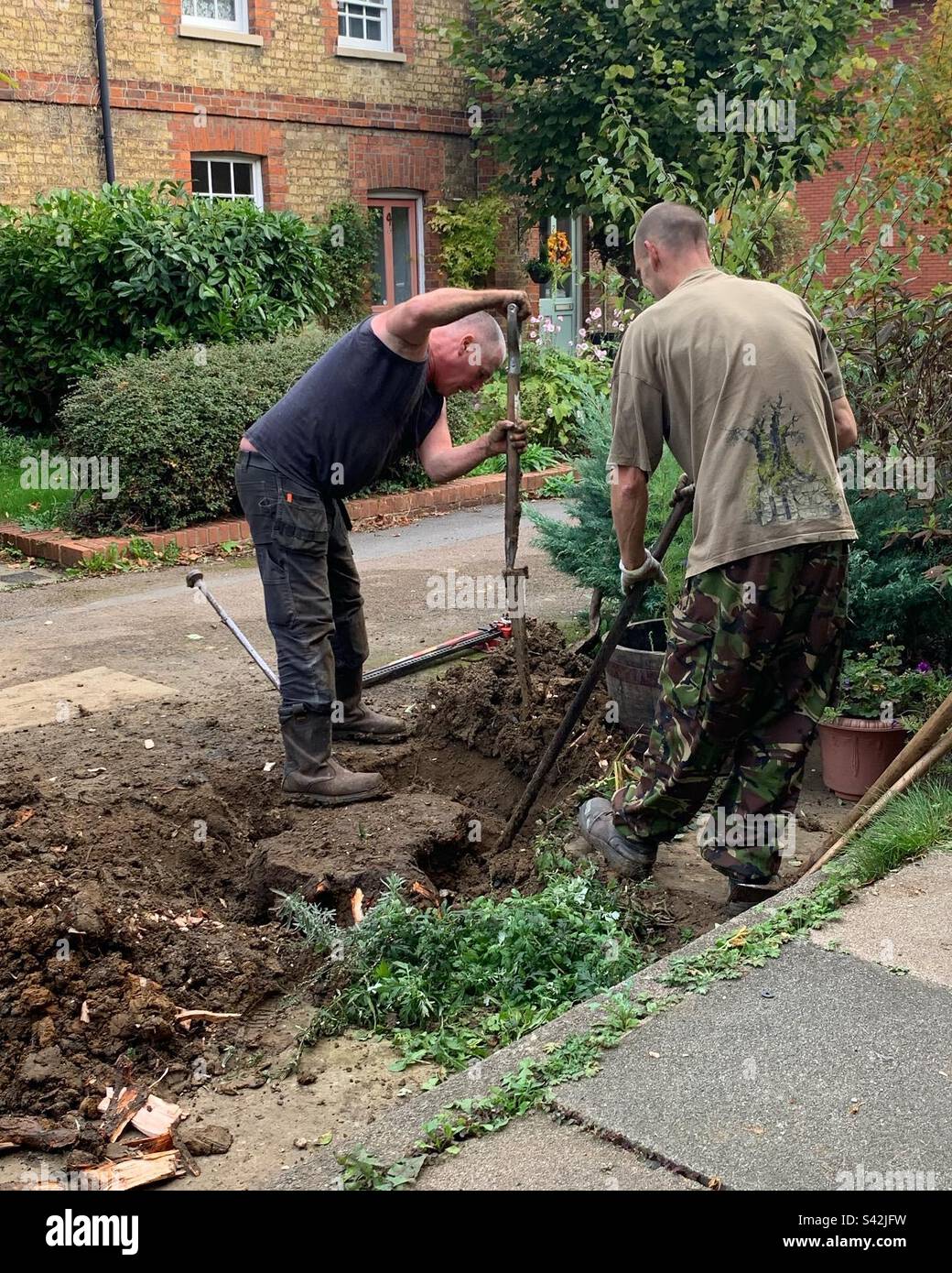 Digging out a tree stump - Smartphone Captured Stock Image