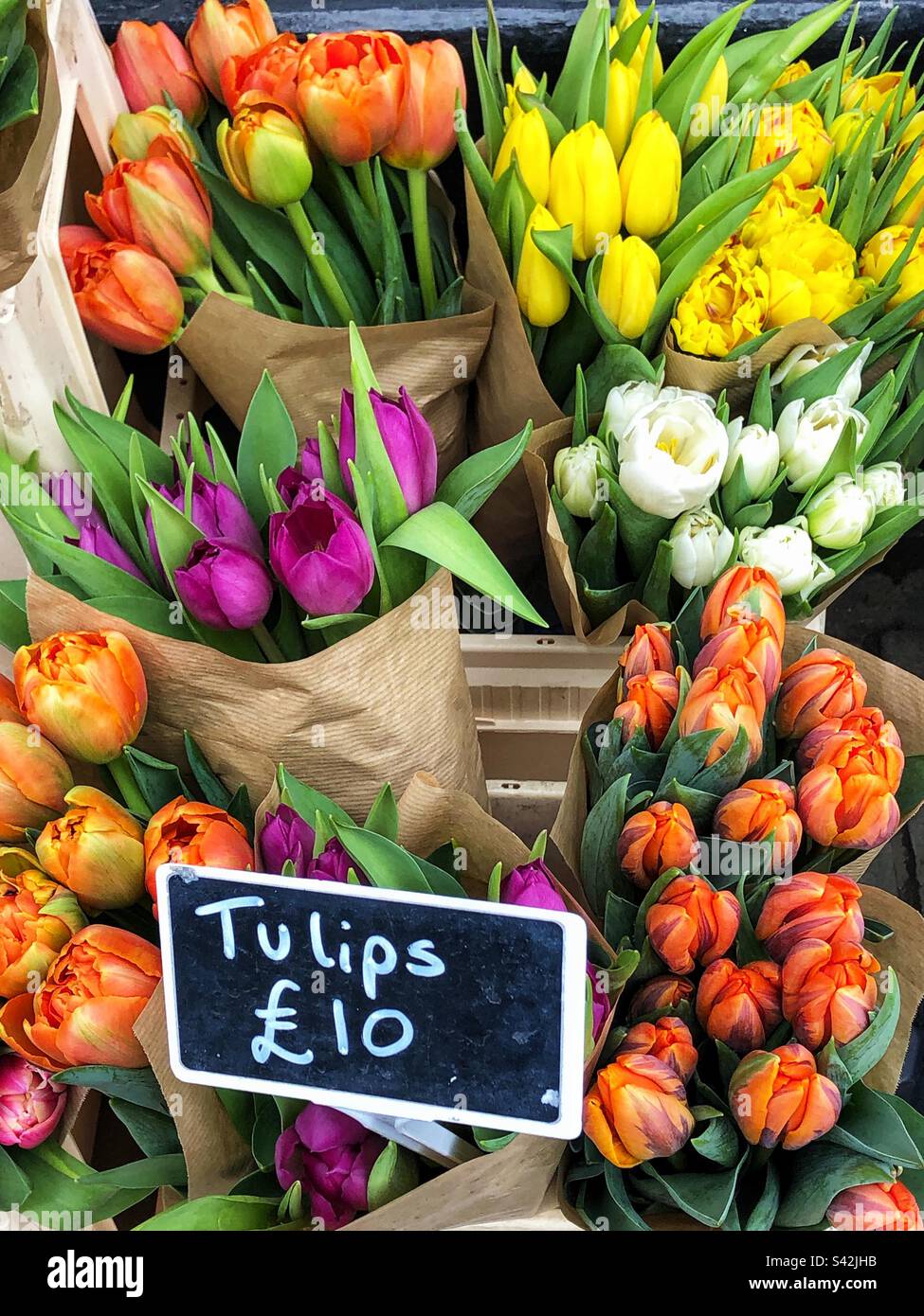 Selection of Colourful Cut bud Tulips varieties priced up for sale at Florist - Smartphone Captured Stock Image