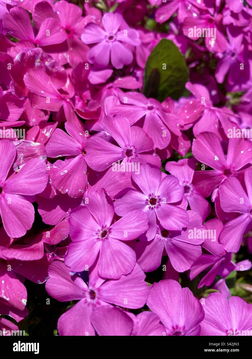 Aria di primavera Stock Photo Alamy