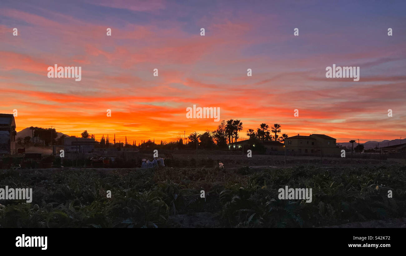 Beautiful sunset in Catral, Spain on 14-03-2023 - Smartphone Captured Stock Image