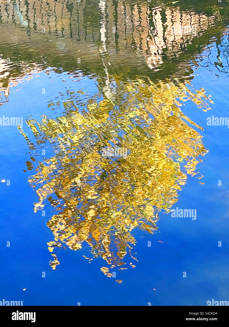 Reflection on water. - Smartphone Captured Stock Image