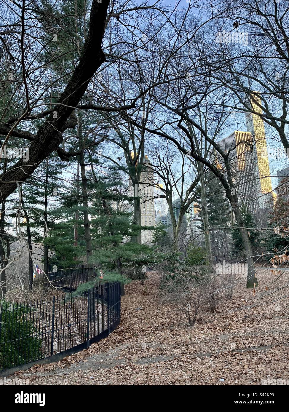 View of New York buildings from Central Park. Photo taken in New York