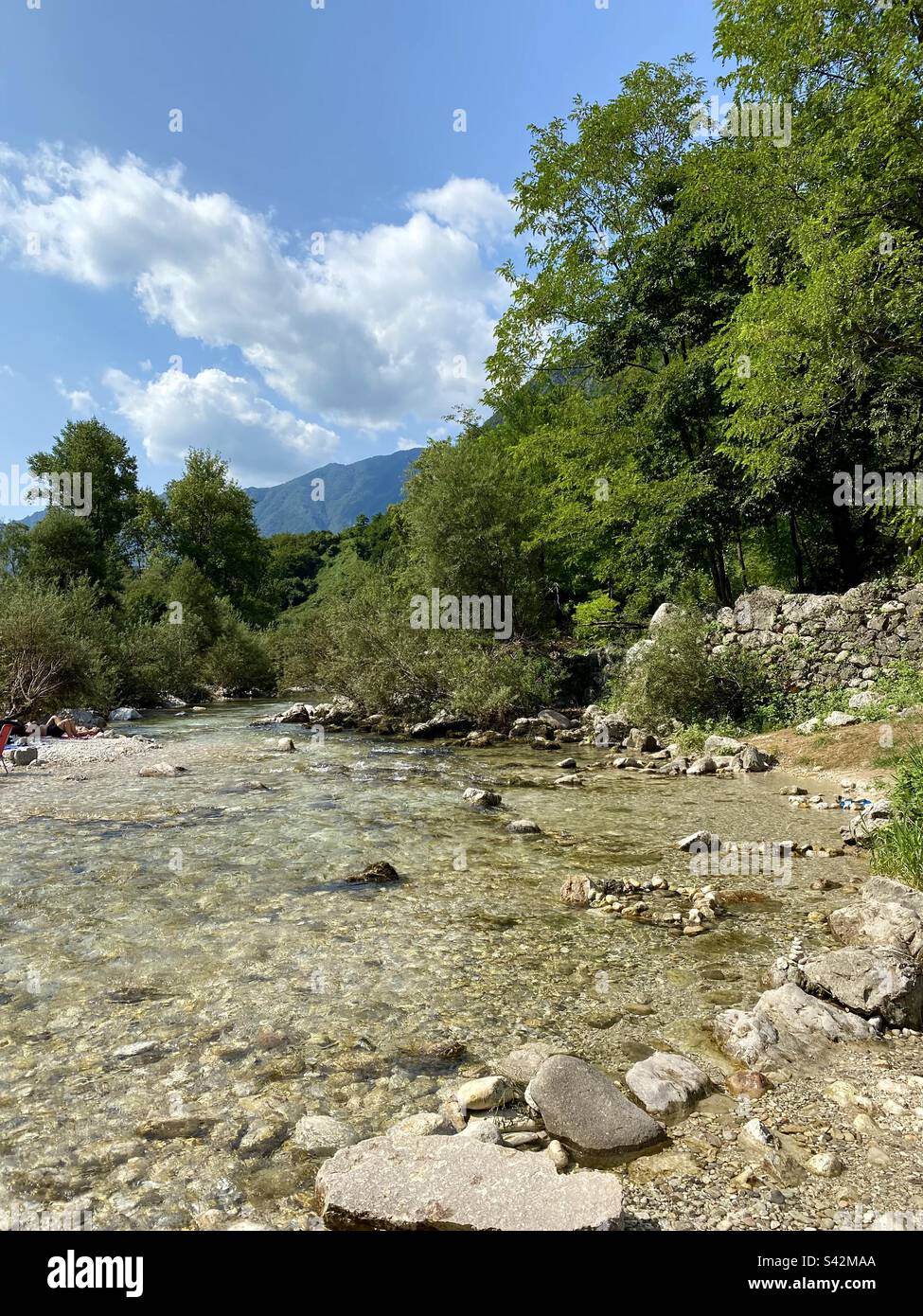 Mountain lake with trees hi-res stock photography and images - Alamy