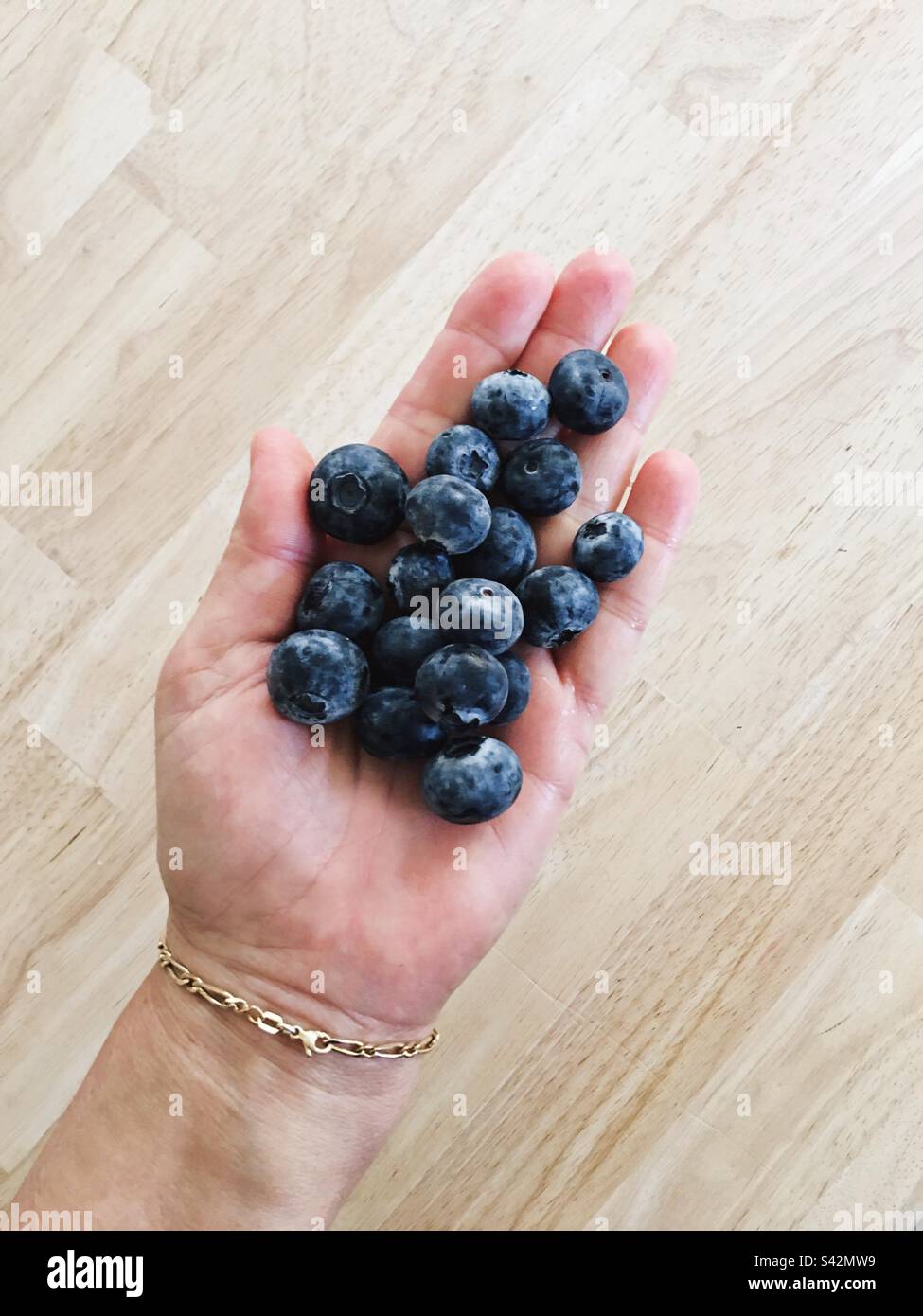 A left hand with a gold chain bracelet holding a bunch of beautiful, blueberries, big blueberries Stock Photo