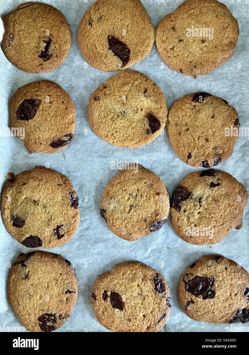 Vegan choc chip cookies fresh out of the oven Stock Photo Alamy