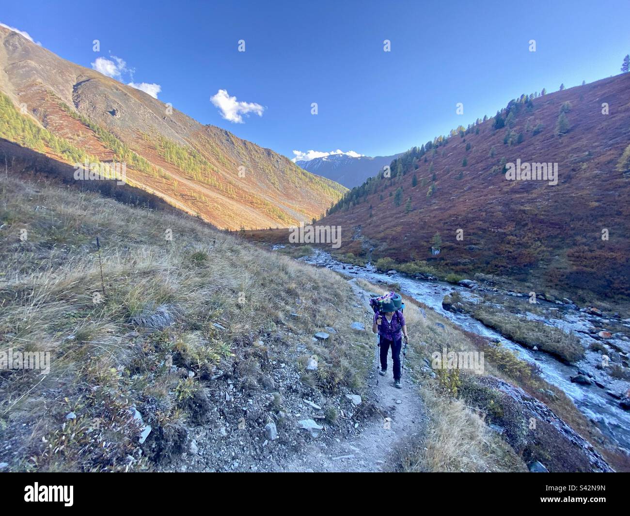 A traveler girl with a large backpack is walking alone along a tourist trail by the river under the mountain in Altai. - Smartphone Captured Stock Image