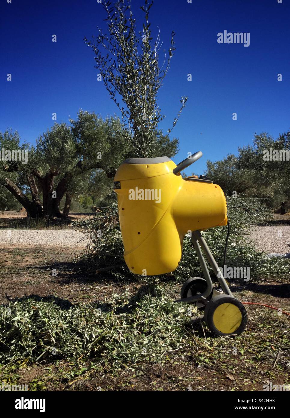 Shredding olive prunings, Catalonia, Spain. - Smartphone Captured Stock Image