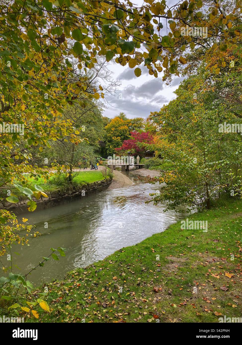 Little bridge to a Japanese teahouse surrounded by autumn leaves in English Garden in Munich. - Smartphone Captured Stock Image
