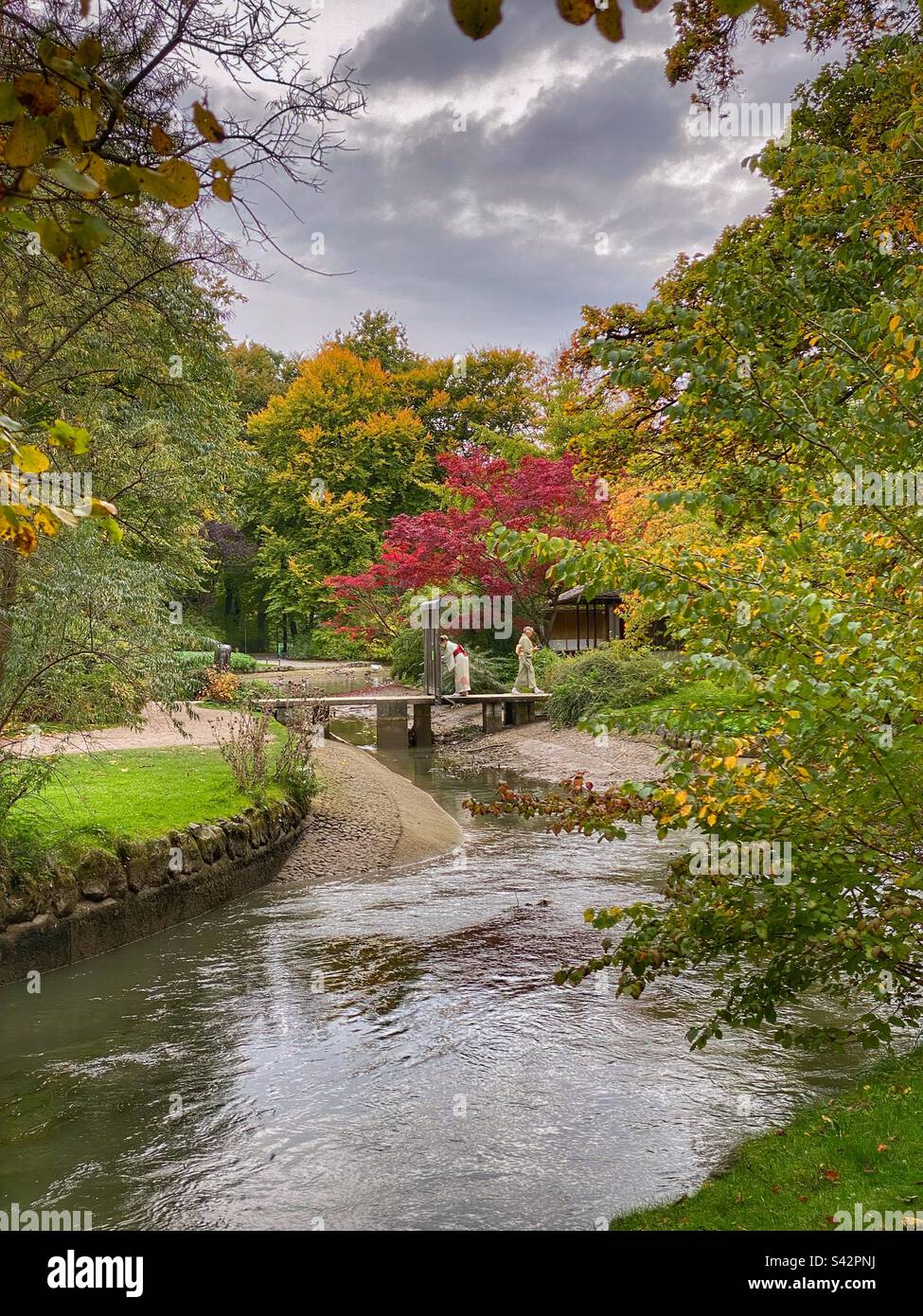 Little bridge over water to a Japanese teahouse surrounded by autumn colored trees in English garden in Munich. - Smartphone Captured Stock Image