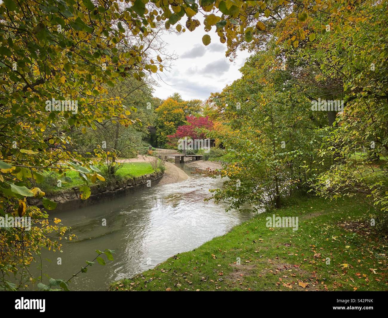Water stream in the middle of autumn colored trees in English Garden in Munich. - Smartphone Captured Stock Image