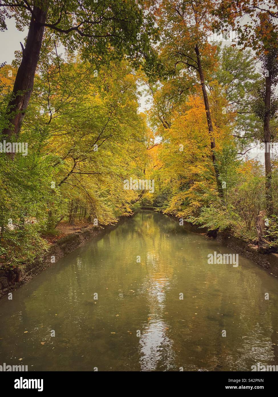 Autumn trees water reflections in English Garden in Munich. - Smartphone Captured Stock Image