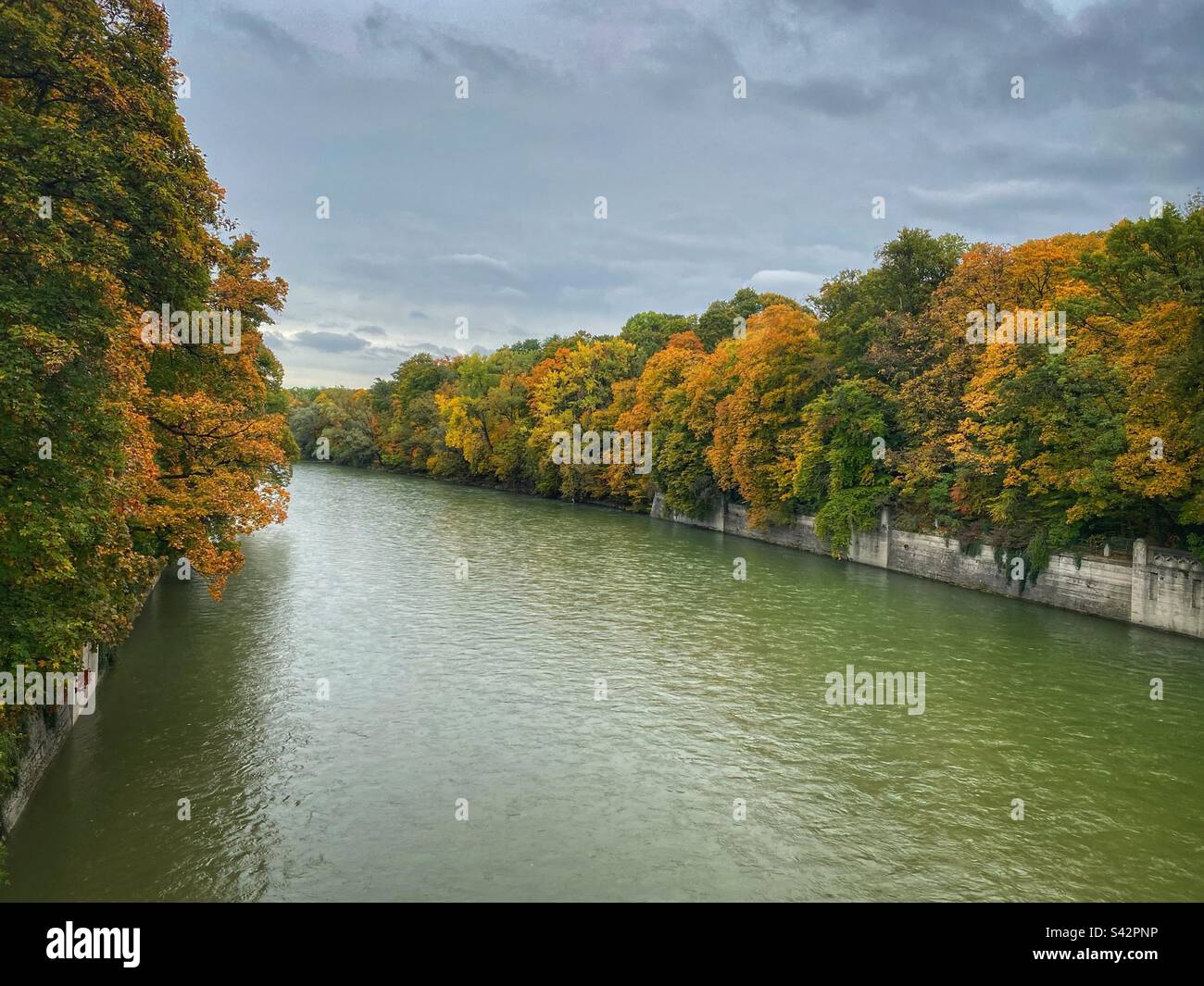 Autumn colored trees framing Isar river in the heart of Munich. - Smartphone Captured Stock Image