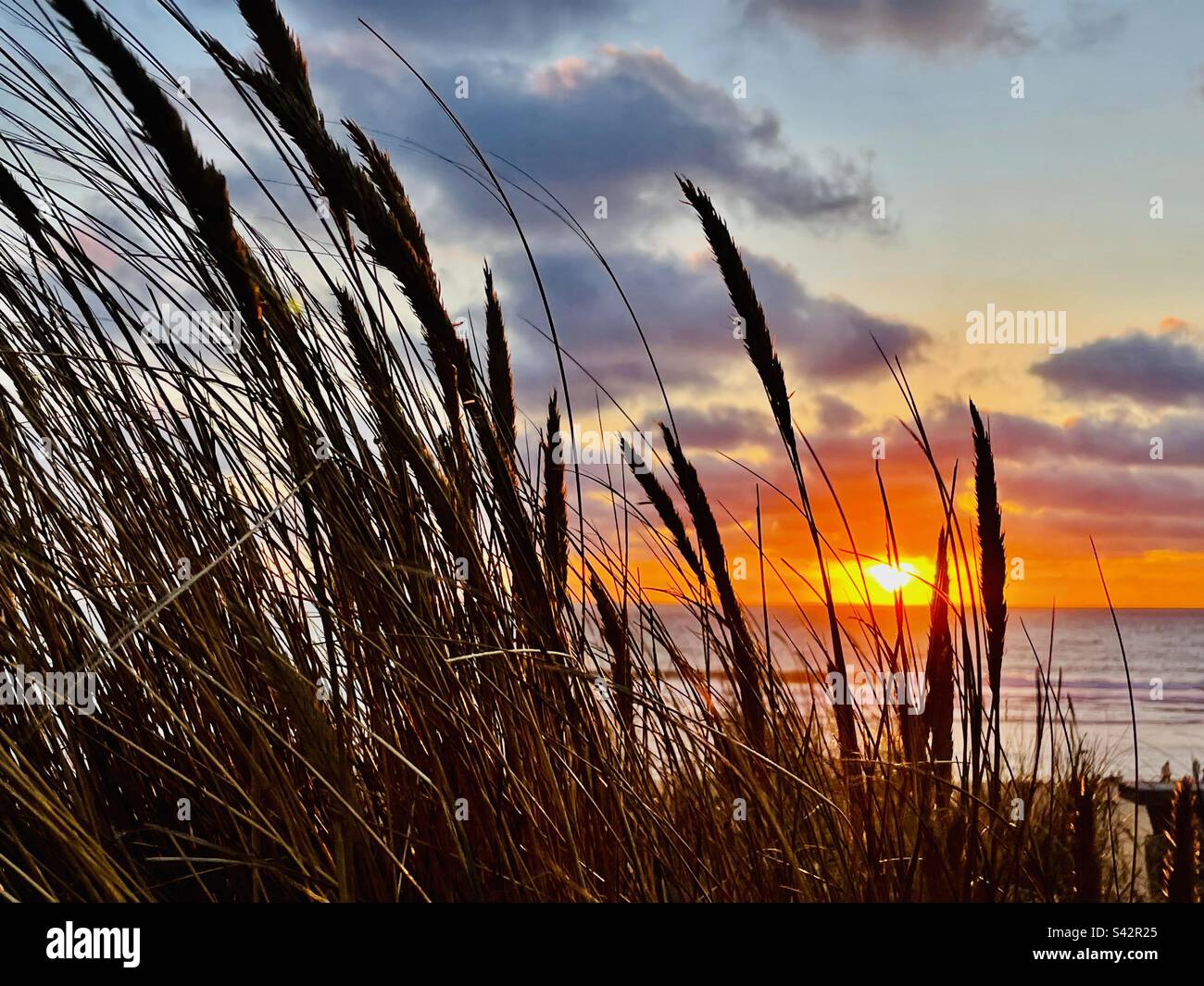 Sunset On the Atlantic Coast, south west of France, Seignosse, Hossegor. - Smartphone Captured Stock Image