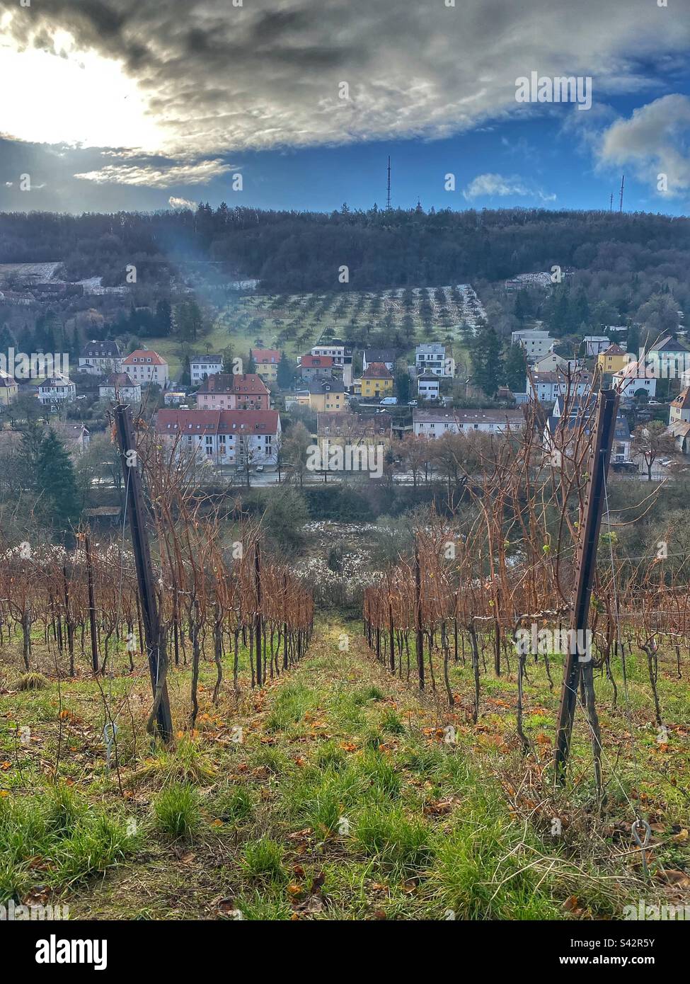 Winter view through wineries and hills from Marienberg fortress in Würzburg, Germany. - Smartphone Captured Stock Image