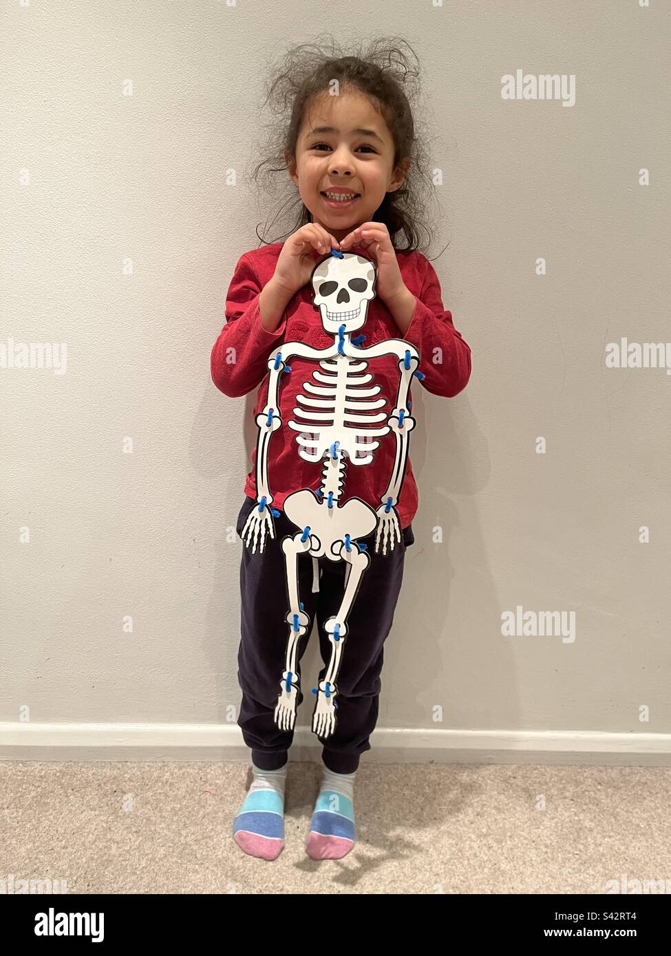 Young girl showing off her craftwork cardboard skeleton. Stock Photo