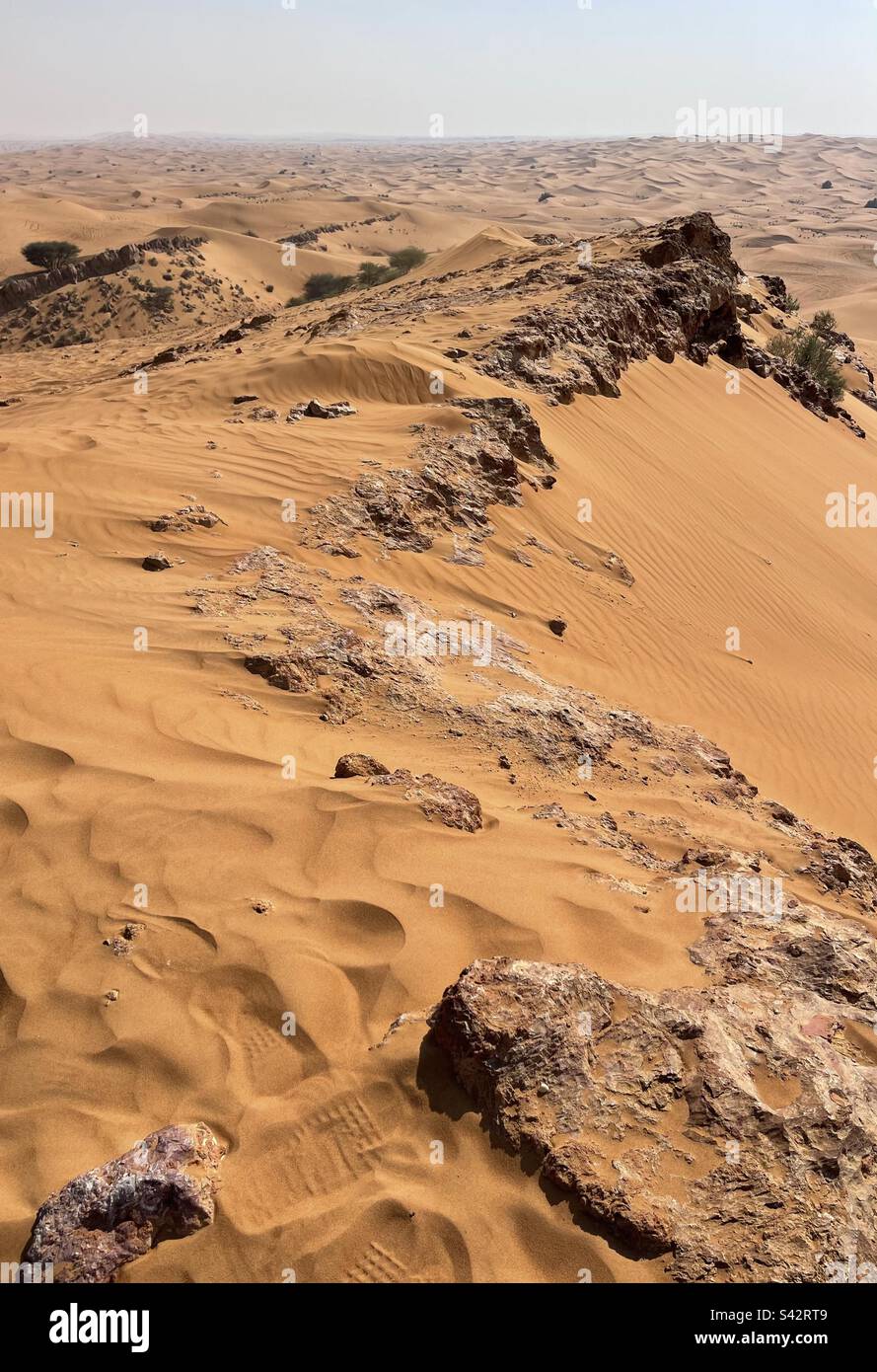 Dune del deserto di Dubai Stock Photo