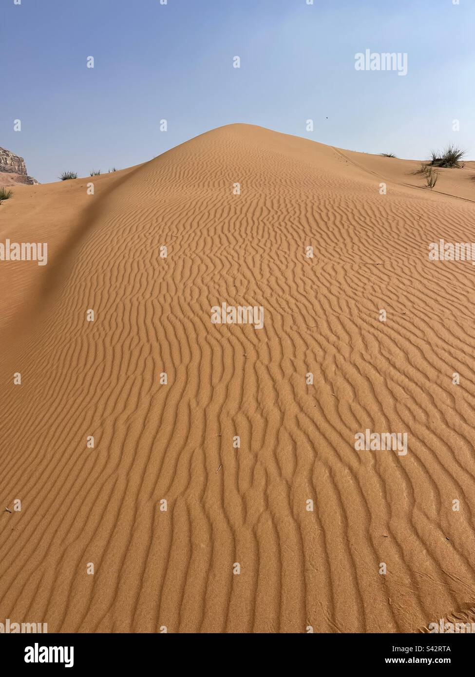 Duna nel deserto di Dubai Stock Photo