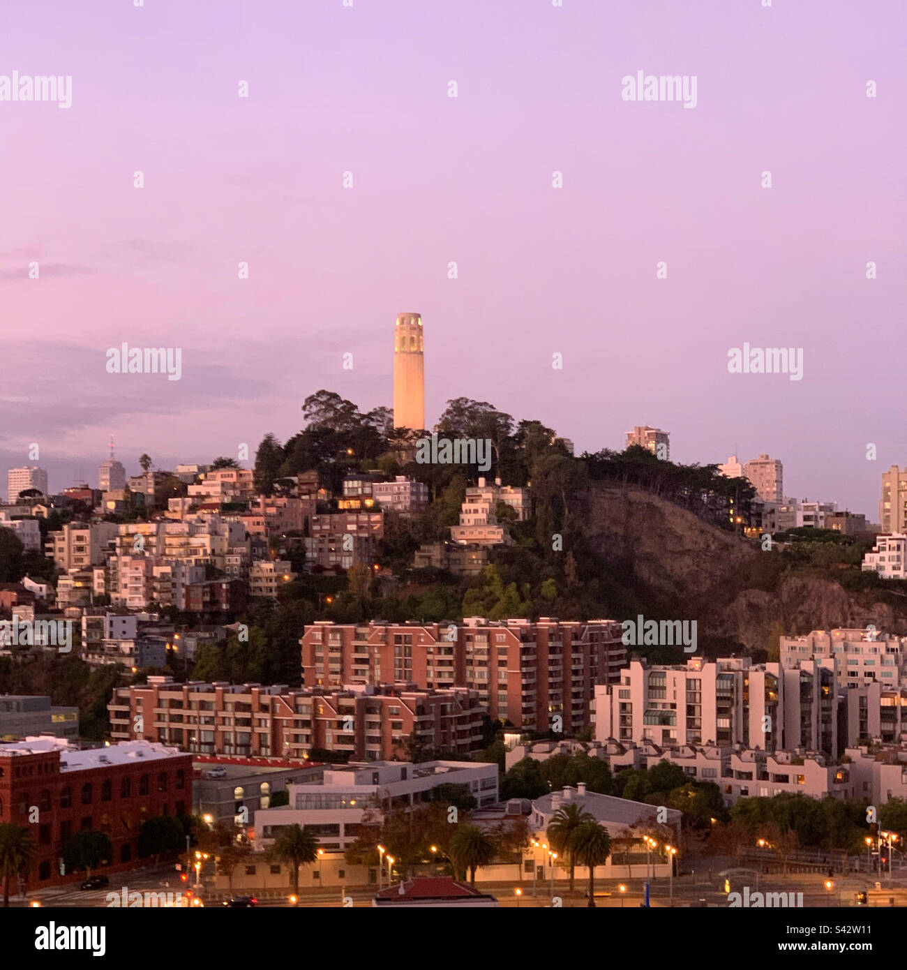 November, 2022, Dawn over Coit Tower, Telegraph Hill, San Francisco, California, United States - Smartphone Captured Stock Image