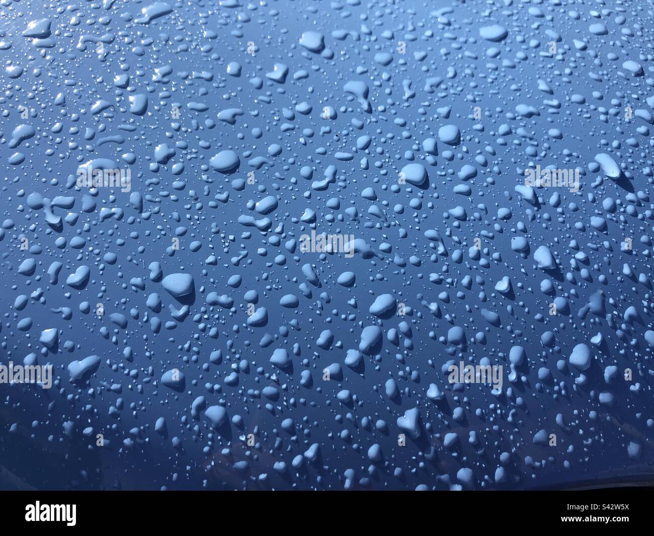Waterdrops on blue surface Stock Photo