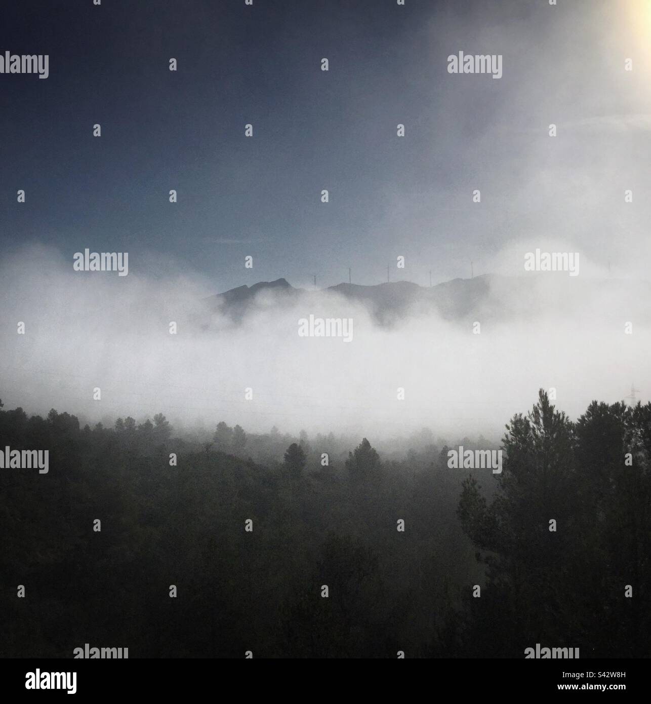 Fog in forest misty morning hi-res stock photography and images - Alamy