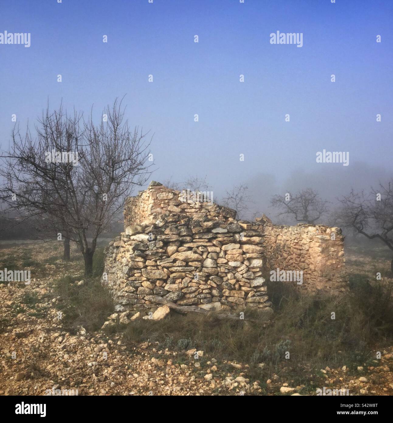 Misty morning over a ruined agricultural building, Catalonia, Spain. - Smartphone Captured Stock Image