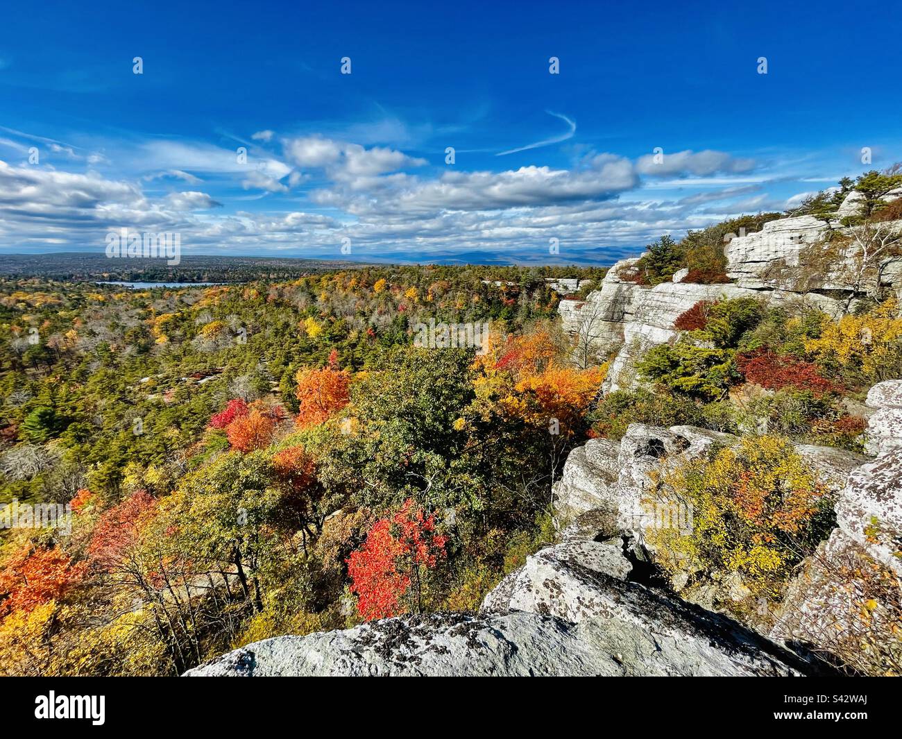 Fall season landscape. Extraordinary Autumn foliage in the Northeast. - Smartphone Captured Stock Image
