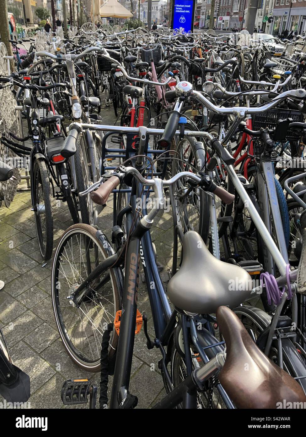 Amsterdam cycles - Smartphone Captured Stock Image