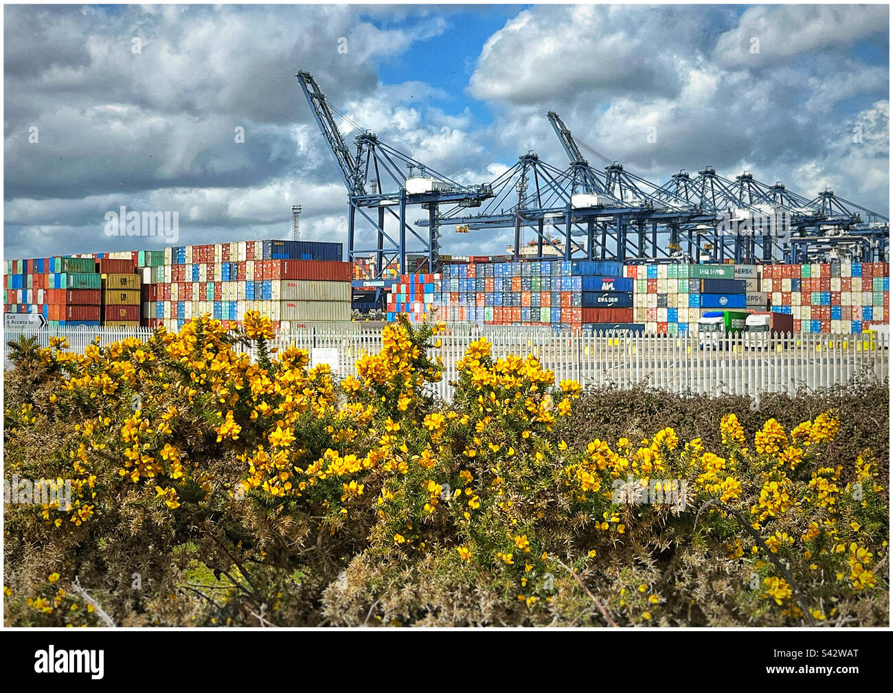 Felixstowe seaport with cranes and containers - Smartphone Captured Stock Image