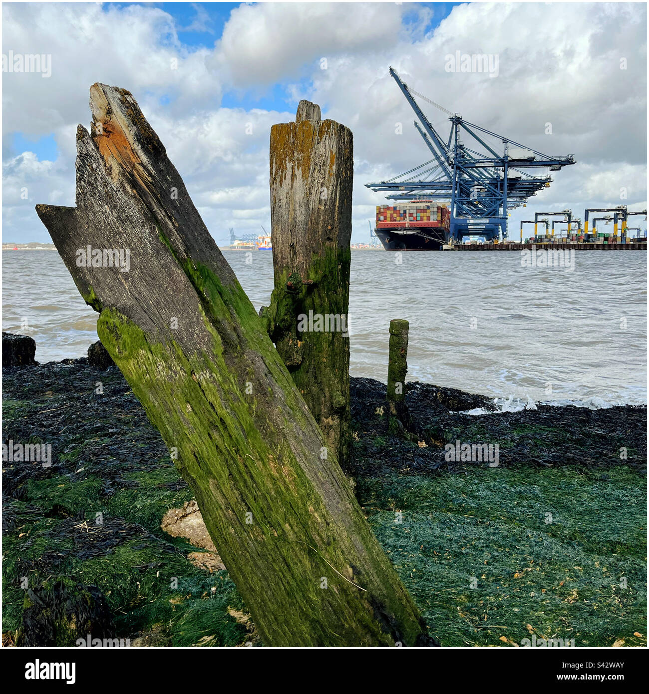 Container ship being loaded at Felixstowe port - Smartphone Captured Stock Image